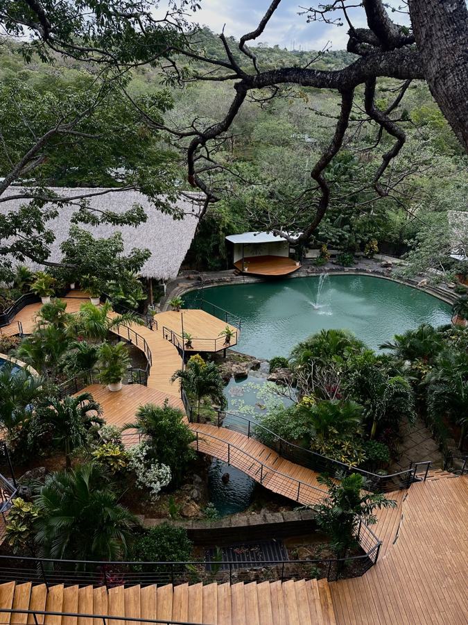 Garden pool seen from above through trees