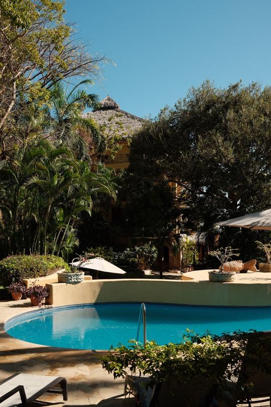 Pool surrounded by palms and garden