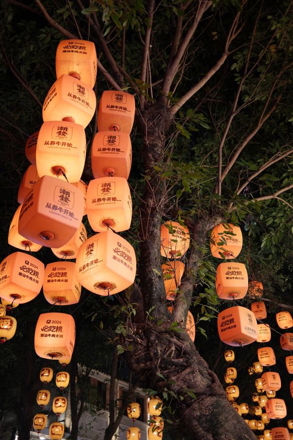 Glowing paper lanterns in a tree
